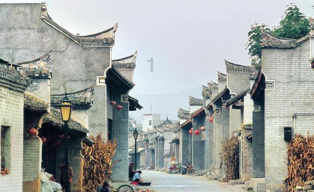 北京的花卉市场